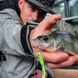 Diverses für Raubfischangler - KM-Tackle, #collectin_name# KM-Shop