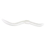 SPRO DENDROBENA KM-Shop feeder, Feederfishing, kunstköder, kunstködereu, Raubfisch, Raubfischangeln, softbaits, SPRO 4691-84