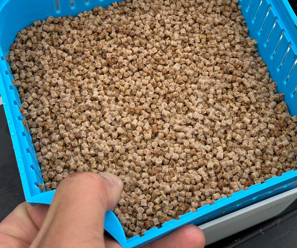 Cresta Bait Tub 1600 ml – Closed Lid + Drain Köderbox