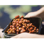 Bait Bucket - KM-Tackle