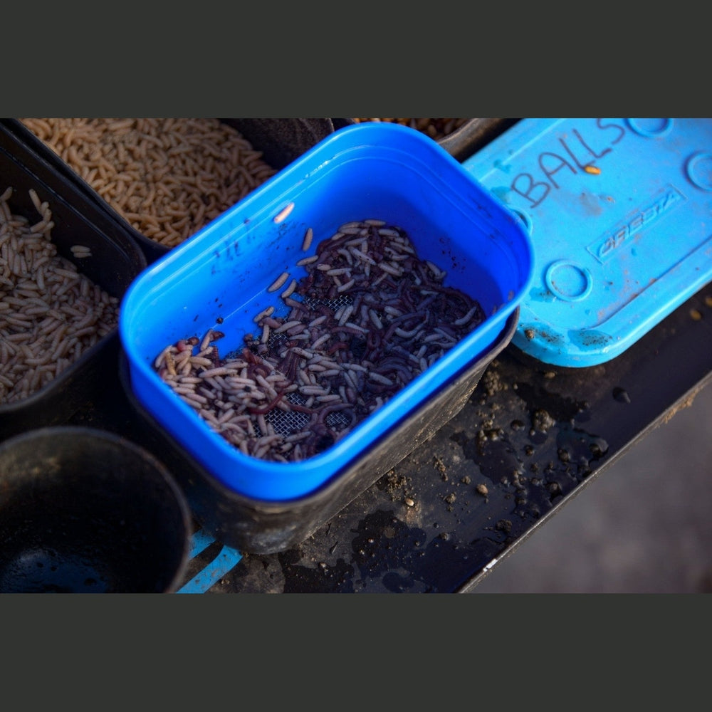 Baitstrainer - KM-Tackle