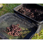 EVA BAIT BAG MICRO MESH - KM-Tackle