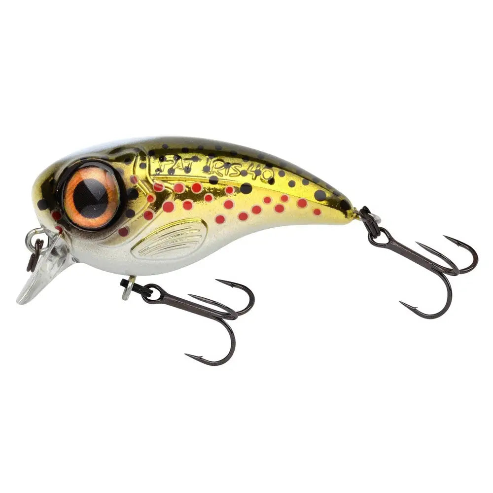 FAT IRIS HARDLURE 4CM KM-Shop kunstködereu, Raubfisch, Raubfischangeln, Spinnangeln, Spinnfishing, SPRO, Wobbler 4867-1910