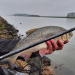 IDENTITY PRO ACCELLERATE FEEDER 375 60g - KM-Tackle