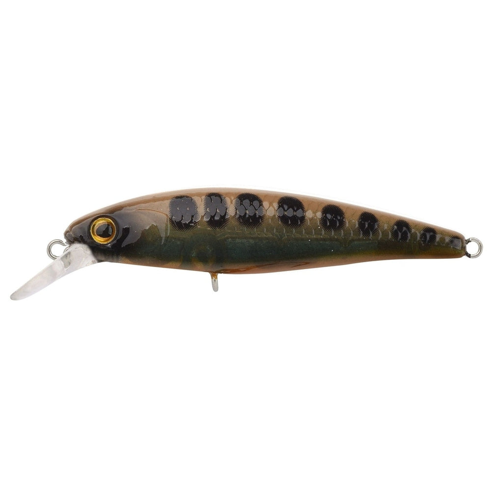 IKIRU JERK 65 FS KM-Shop kunstködereu, Raubfisch, Raubfischangeln, spinn, Spinnangeln, Spinnfishing, SPRO, Wobbler 4380-765