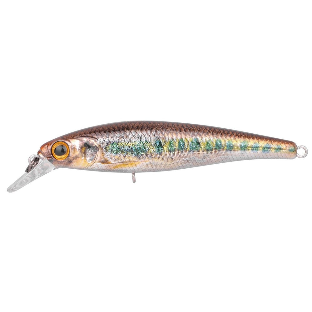IKIRU JERK 65 FS KM-Shop kunstködereu, Raubfisch, Raubfischangeln, spinn, Spinnangeln, Spinnfishing, SPRO, Wobbler 4380-704