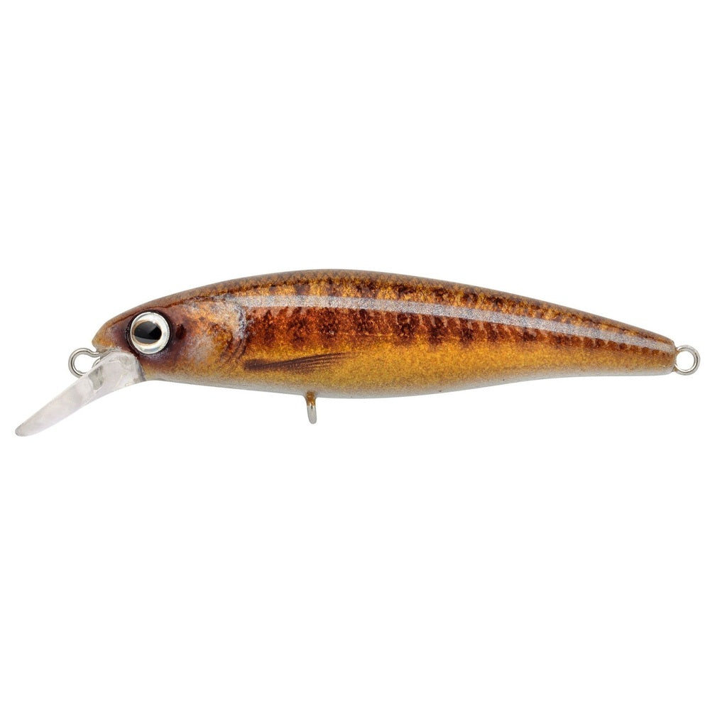 IKIRU JERK 65 FS KM-Shop kunstködereu, Raubfisch, Raubfischangeln, spinn, Spinnangeln, Spinnfishing, SPRO, Wobbler 4380-713
