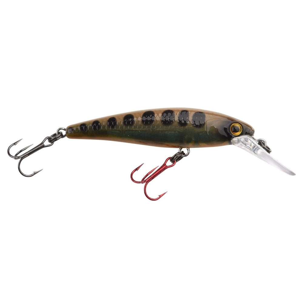 IKIRU MICRO JERK 50FS KM-Shop kunstködereu, Raubfisch, Raubfischangeln, spinn, Spinnangeln, Spinnfishing, SPRO, Wobbler 4380-465