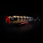 IKIRU POP 65 FL KM-Shop kunstködereu, Raubfisch, Raubfischangeln, Raubifsch, spinn, Spinnangeln, Spinnfishing, SPRO, Wobbler