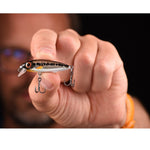 IRIS THE KID HARDLURE KM-Shop kunstködereu, Raubfisch, Raubfischangeln, Spinnangeln, Spinnfishing, SPRO, Wobbler