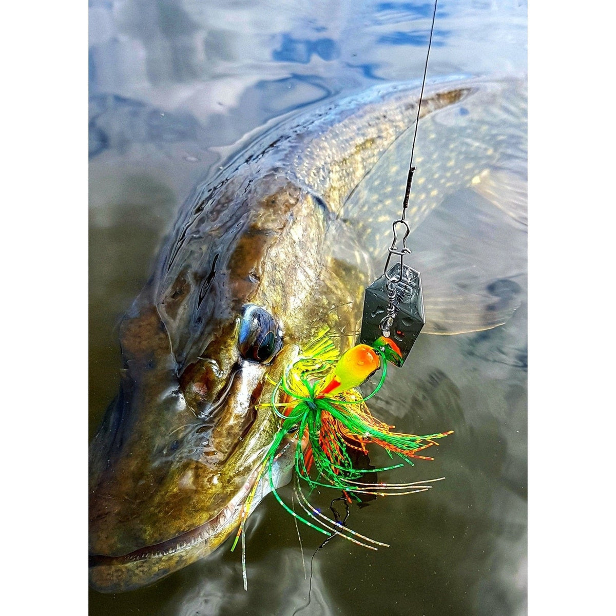 IRIS THRILLSEEKER KM-Shop Chatterbaits, hardbaits, kunstködereu, Raubfisch, Raubfischangeln, Raubifsch, spinn, Spinnangeln, Spinnfishing, SPRO, Thrillseeker