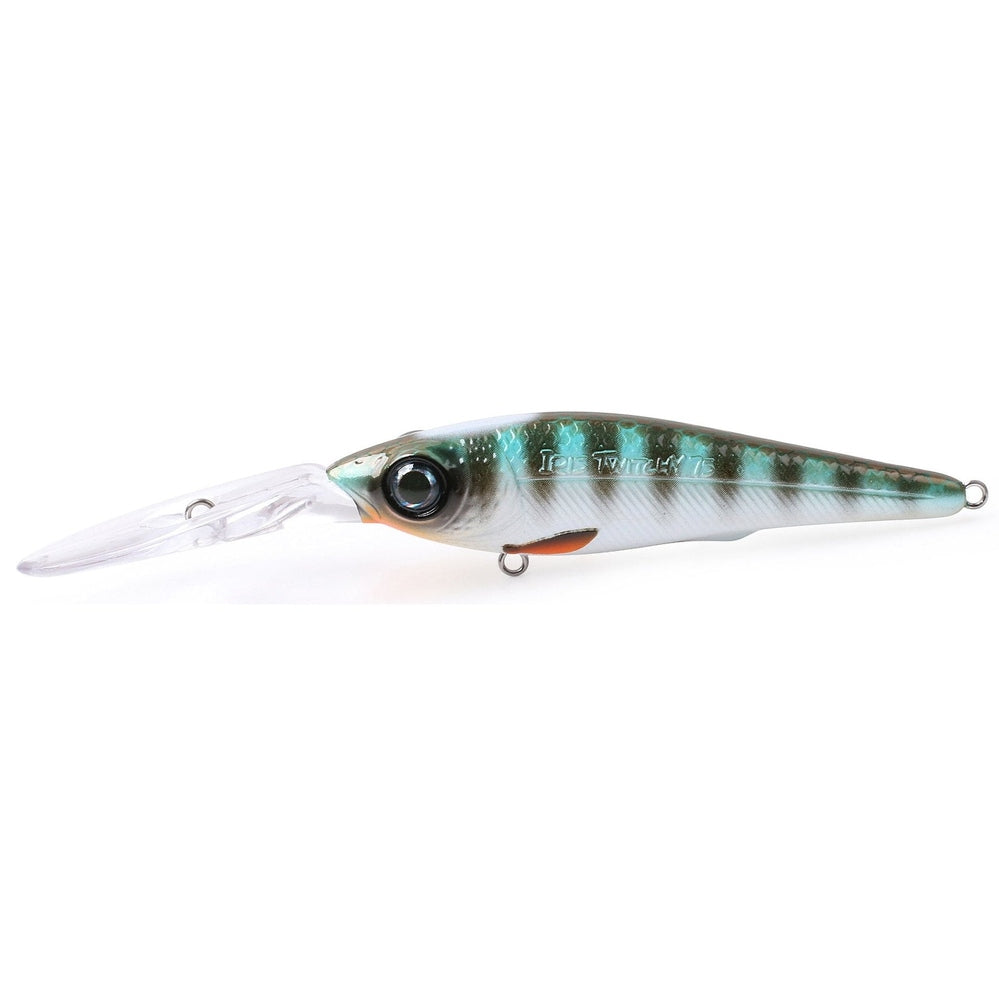 IRIS TWITCHY DR HL - KM-Tackle