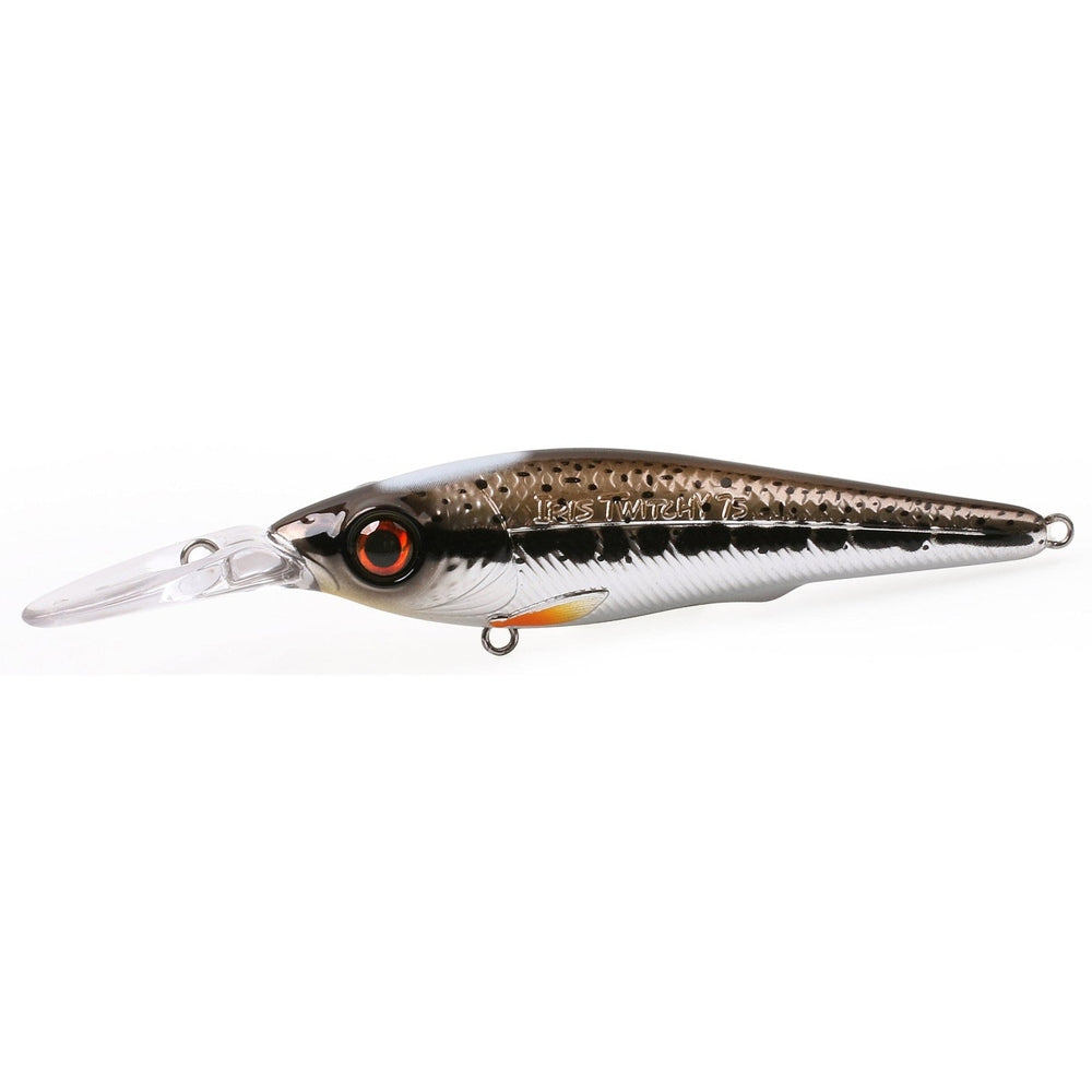 IRIS TWITCHY HL - KM-Tackle