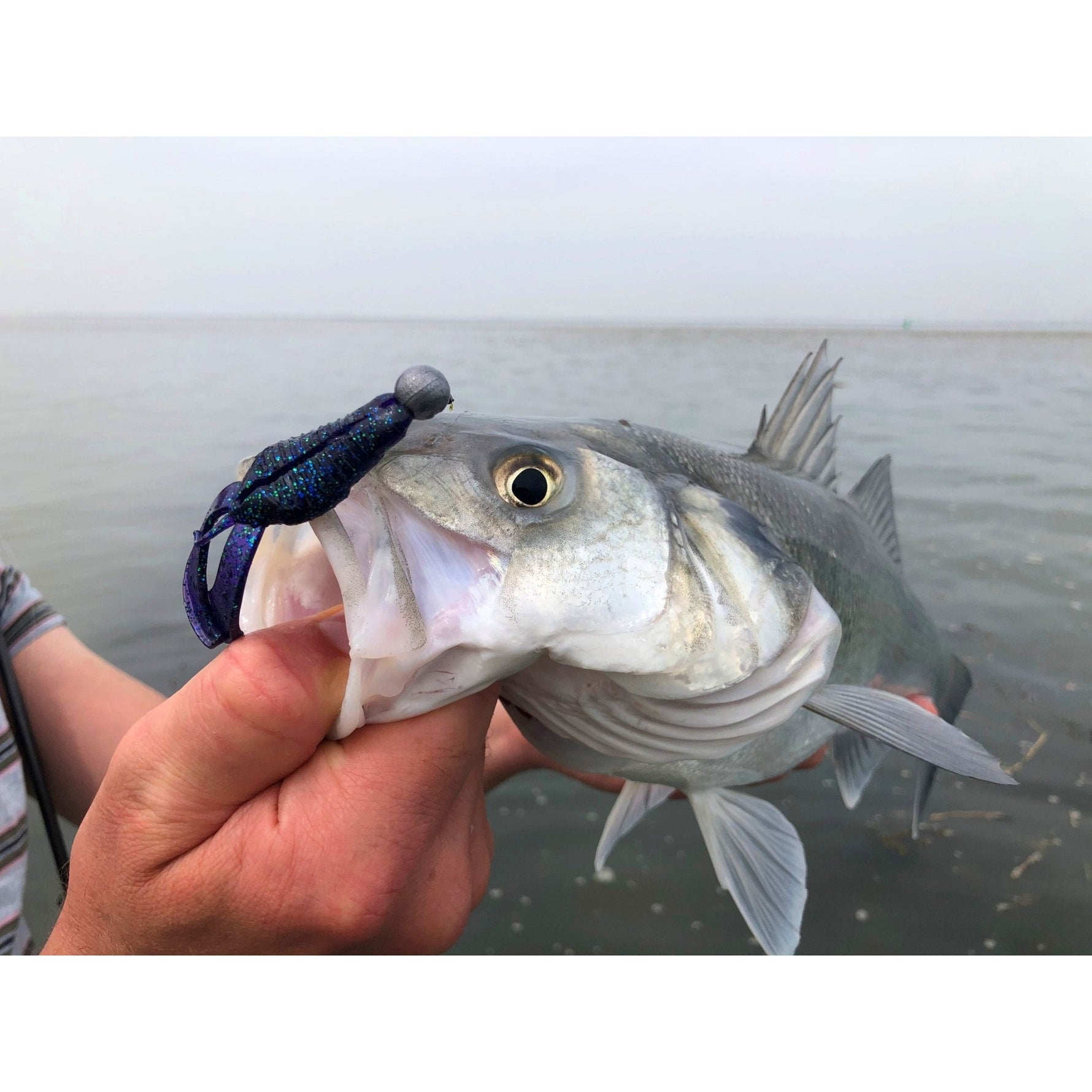 SCENT SER. INSTA CLAW 8CM - KM-Tackle