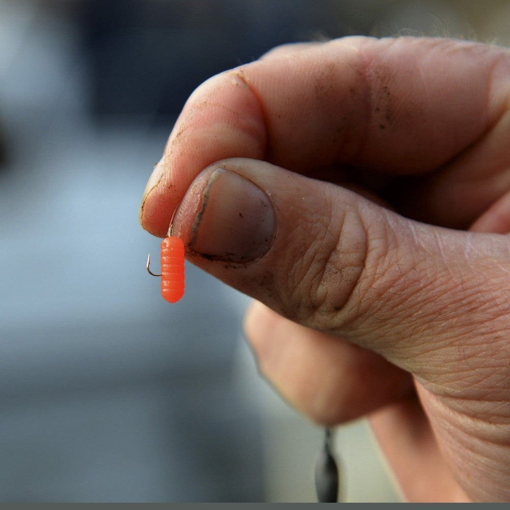 SPAGHETTI WORMS - KM-Tackle