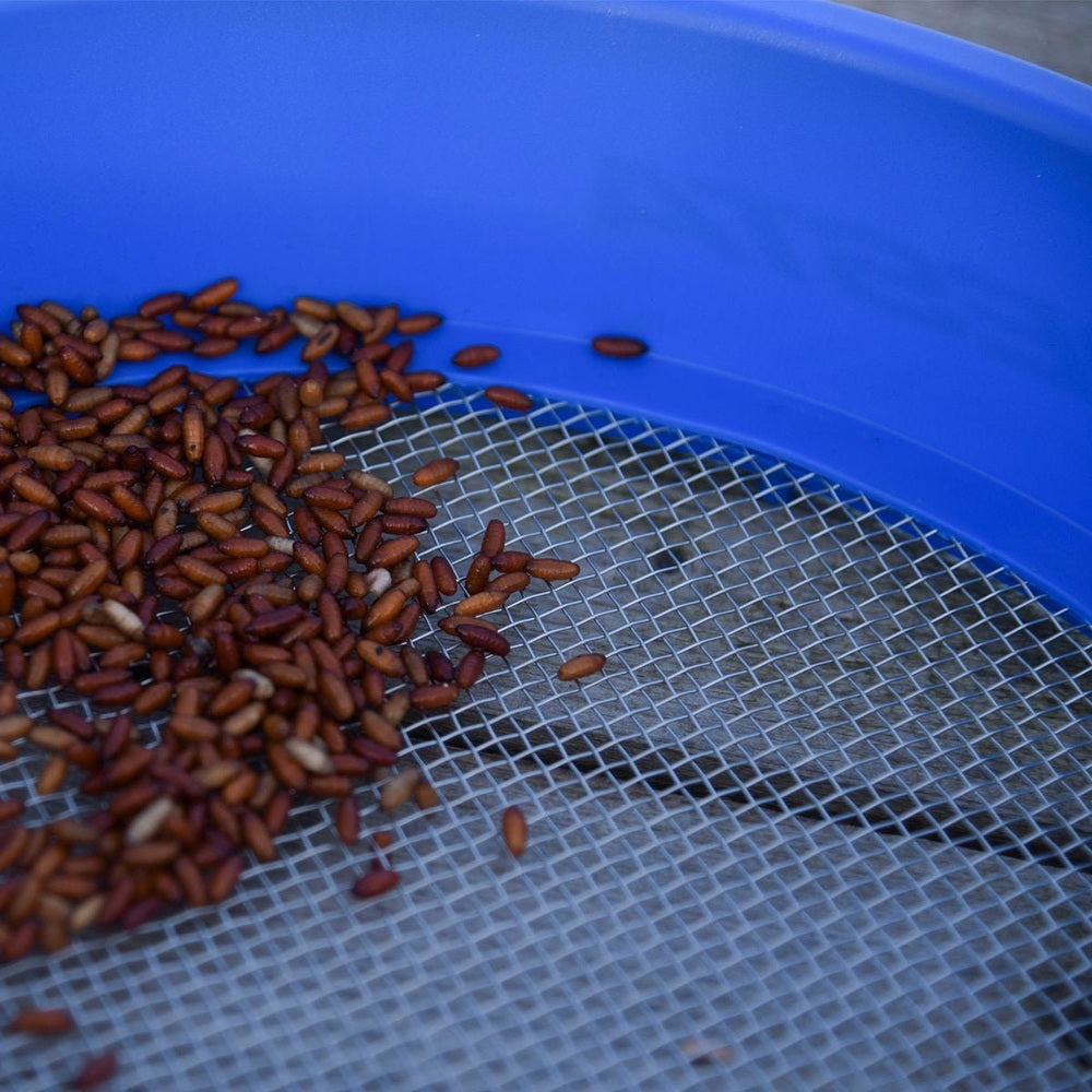 SUPA RIDDLE SQUARE MESH - KM-Tackle