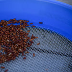 SUPA RIDDLE SQUARE MESH KM-Shop Cresta, feeder, Feederfishing, Method, methodfishing, Sieb 