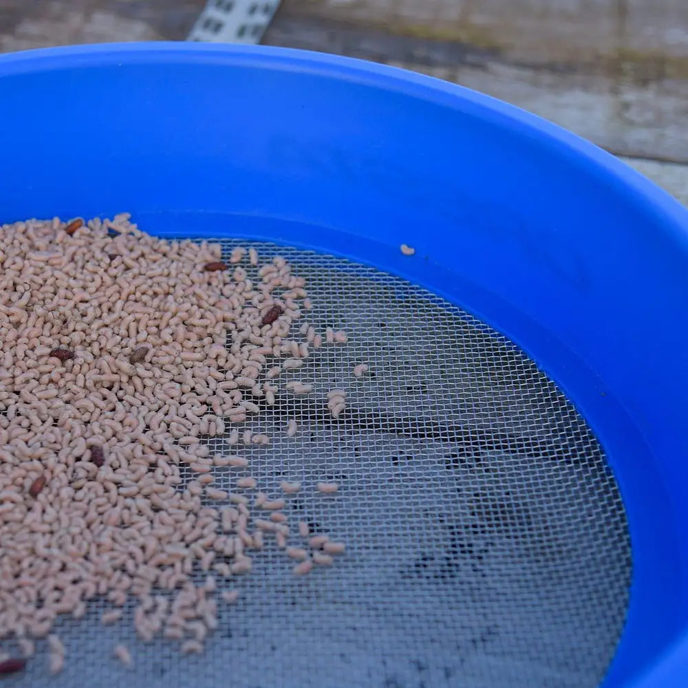 SUPA RIDDLE SQUARE MESH KM-Shop Cresta, feeder, Feederfishing, Method, methodfishing, Sieb 